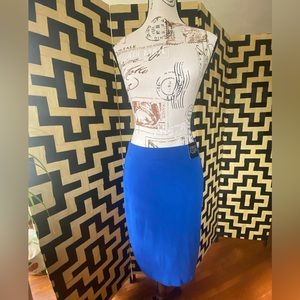 Petite Blue Skirt